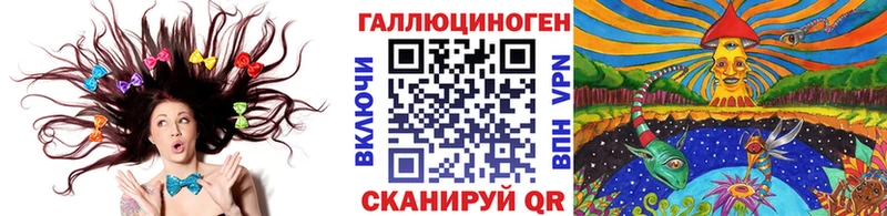 Псилоцибиновые грибы Psilocybe  Купить где  Гороховец 